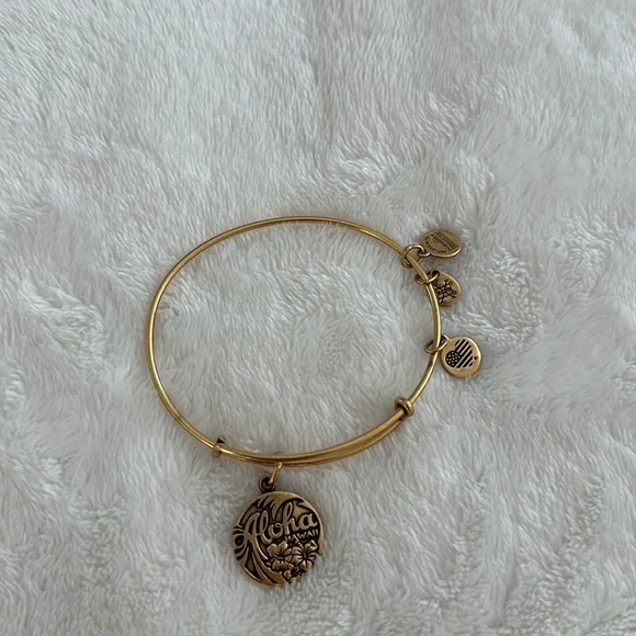 Alex and Ani Aloha Hawaii Bracelet - Picture 4 of 6